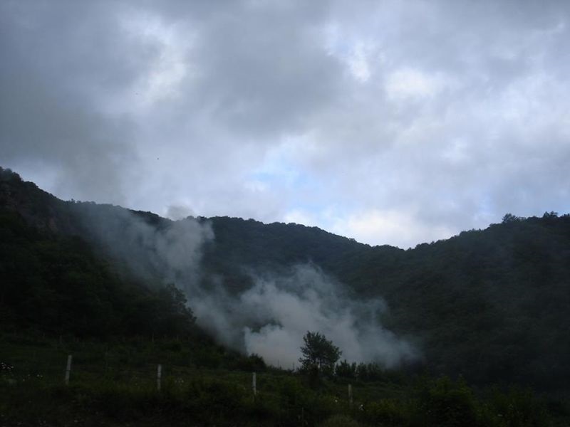 Пожар на шума во Кривопаланечко