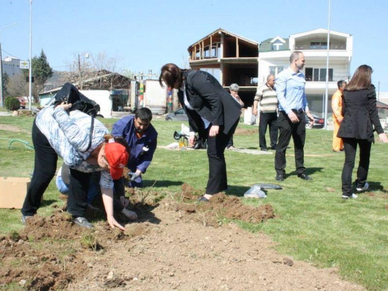 Нов дрворед на улицата Киро Крстев во Кавадарци