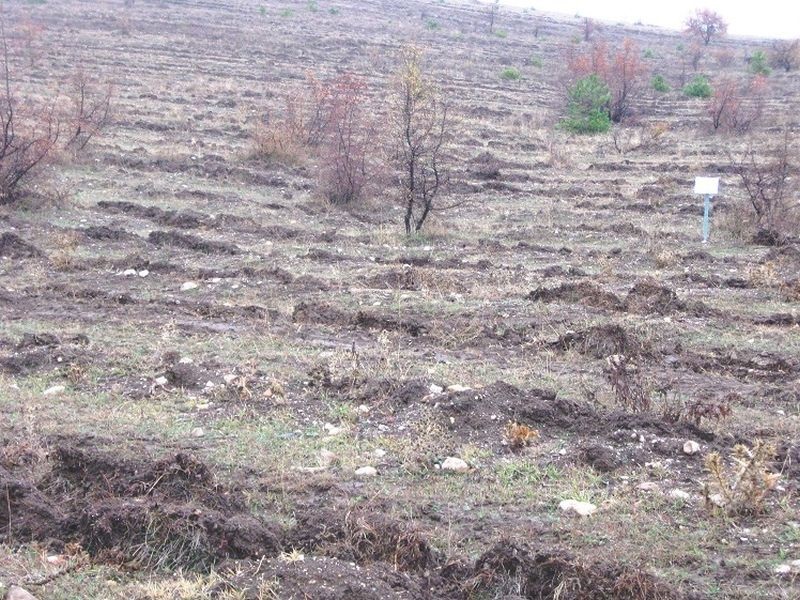 Одбележан Меѓународниот ден на шумите и на пролетта