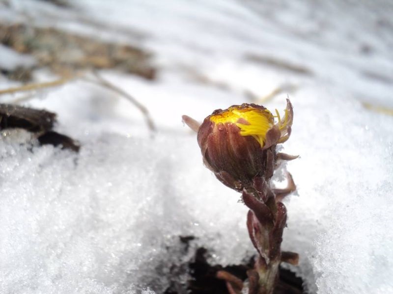 Од утре пониски температури за 10 степени