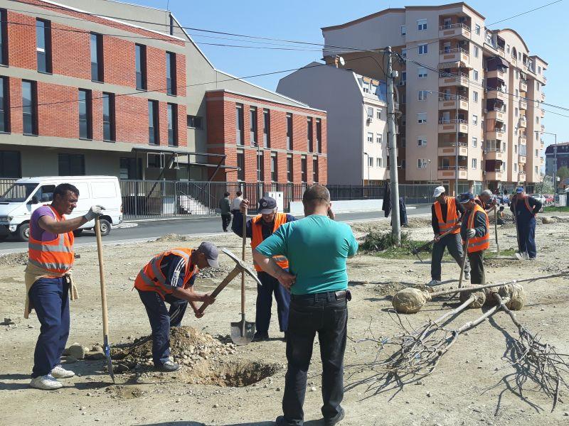 Нови 200 дрвца во општина Ѓорче Петров