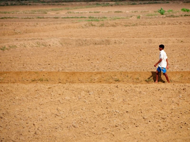 УНИЦЕФ: Поради суша потребна е помош од еден милион долари за Шри Ланка