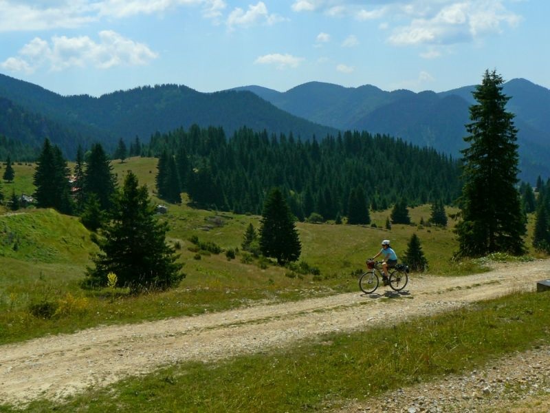 Екологистите имаат најдено 17 отруени животни во Родопите