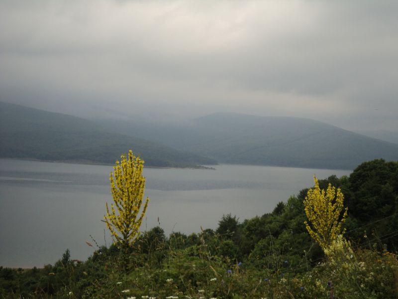 Најмногу дожд синоќа падна во Маврово и во Прилеп