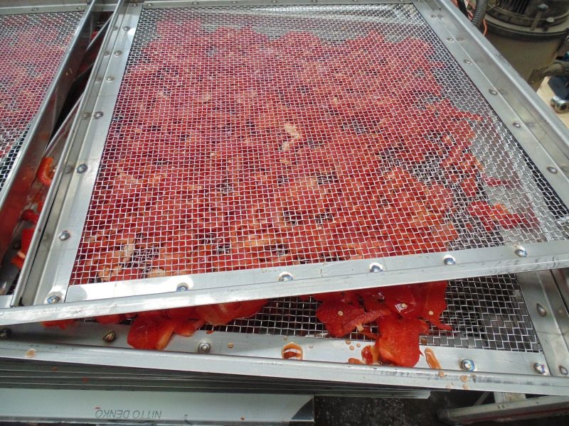 Соларна земјоделска сушилница во Кумановско