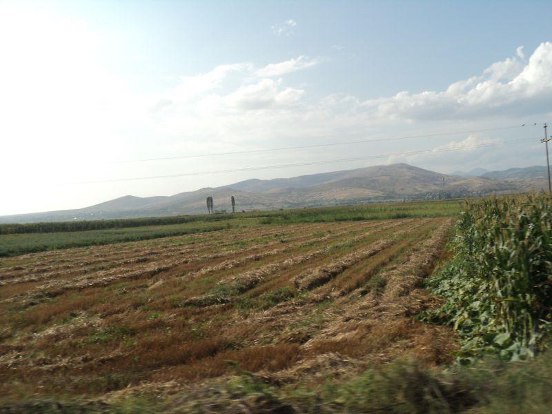 Зрновци ќе користи алтернативна енергија