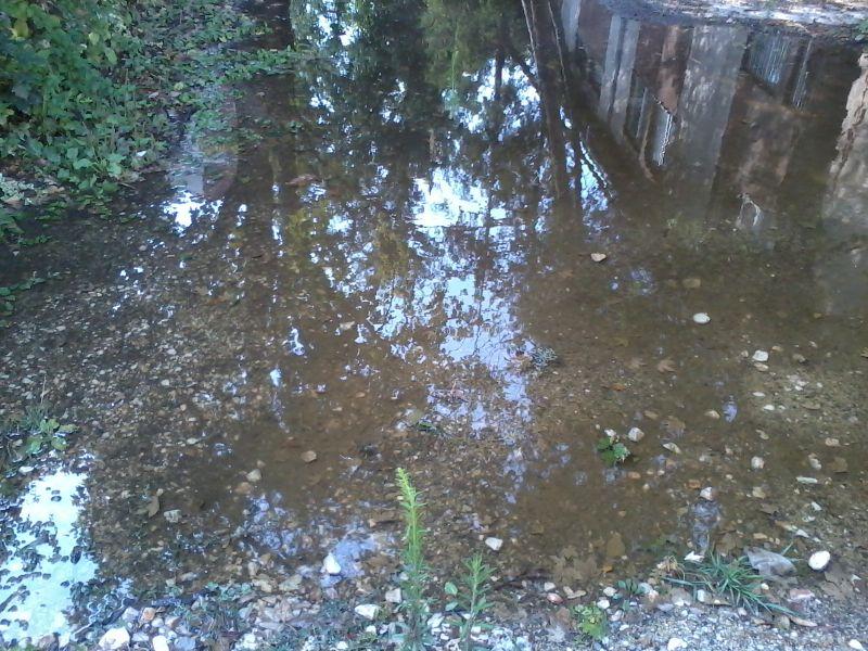 Во Крива Паланка наврнале 45 литри воден талог за 12 часа