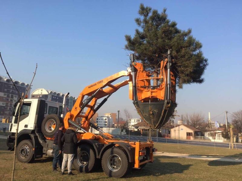 Викендов ќе се пресадуваат дрва во Паркот на новинарите 