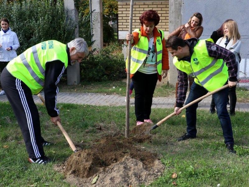 Карпош доби 100 нови садници