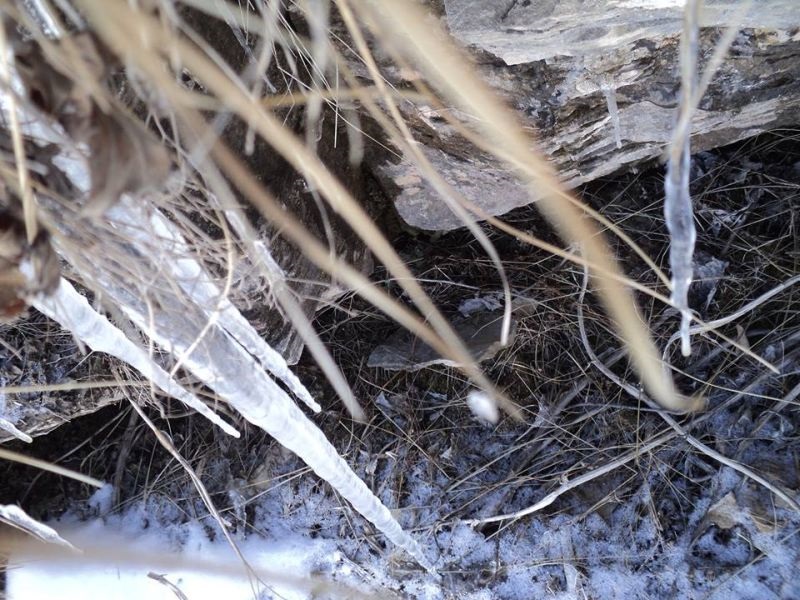 Пет интересни факти за мразот и снегот