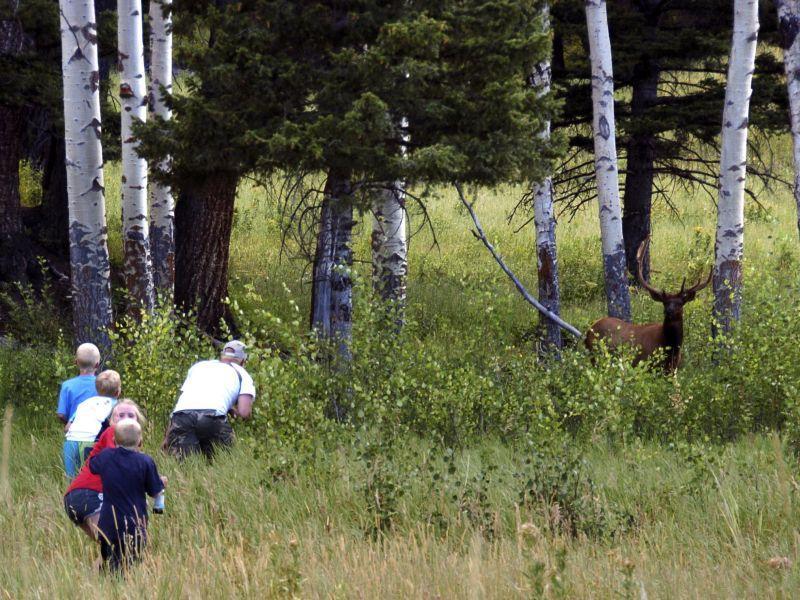  Туристите - „инвазивен вид“ во националните паркови