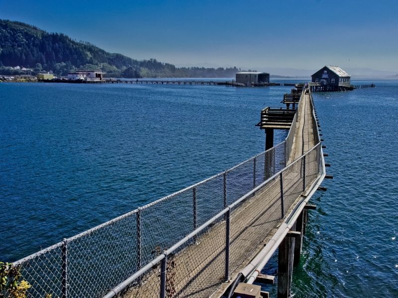 Радијација од Фукушима откриена на брегот на Орегон