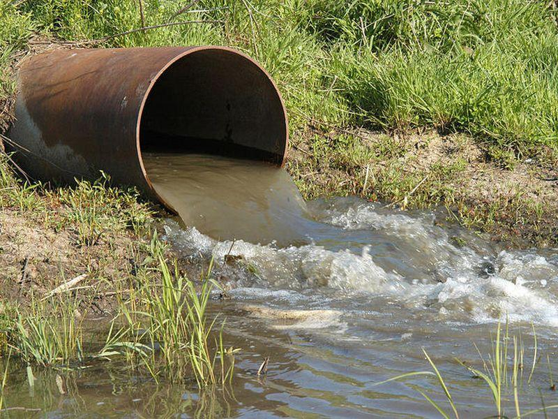 Микроорганизми мутирале поради загадување со отпадни води