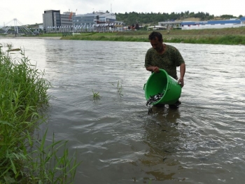 Порибени водите на реката Вардар